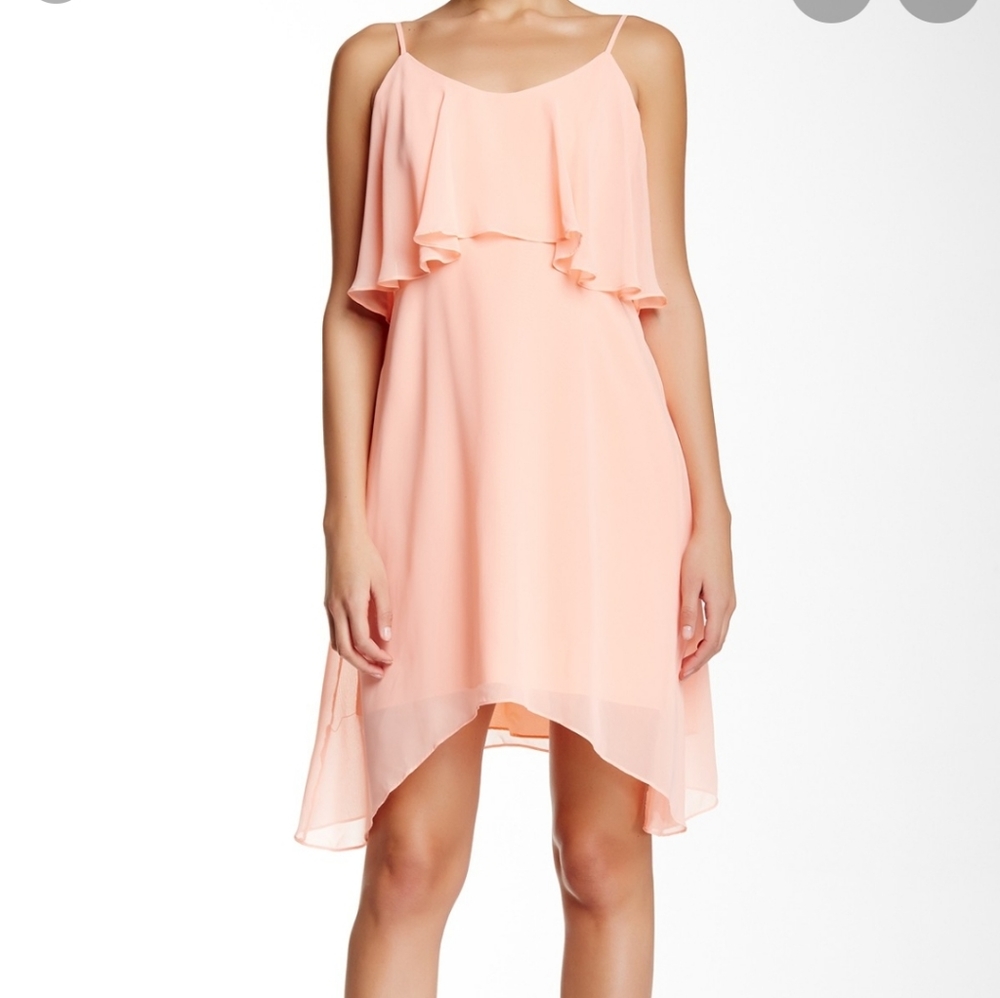 BCBG Coral Popover Dress